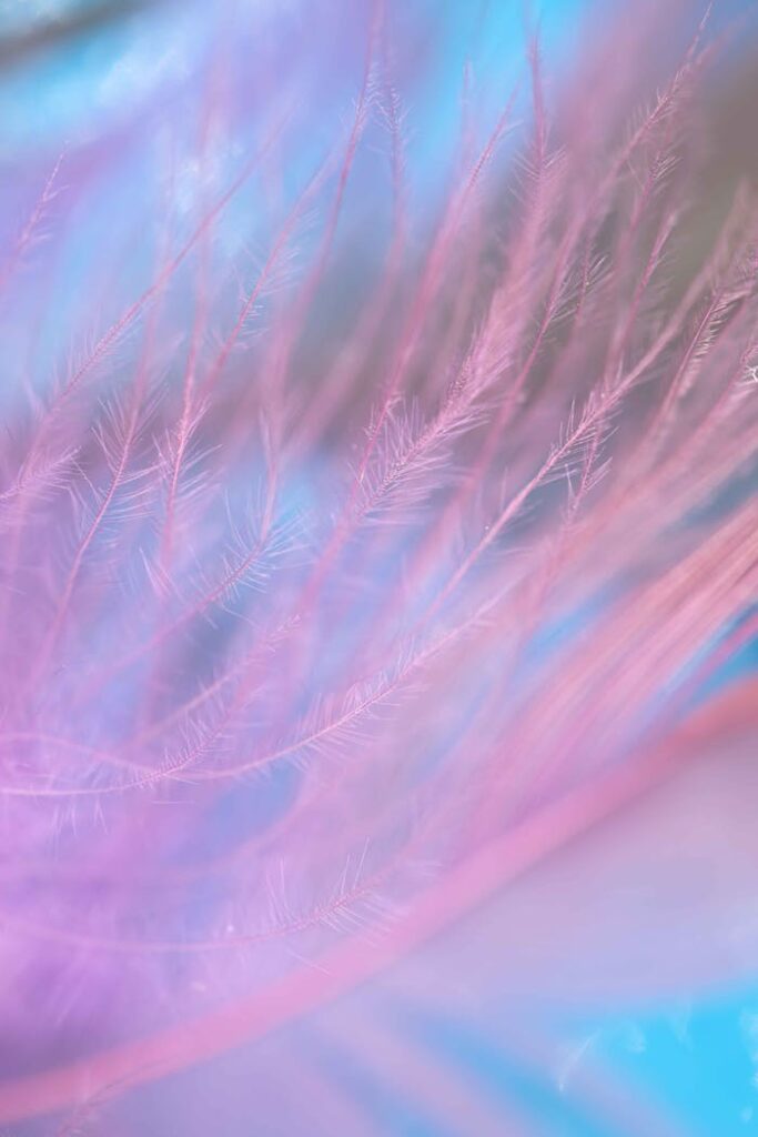Mastering the First Impression: Your intriguing post title goes here Abstract pastel feather design with vibrant colors and soft focus.